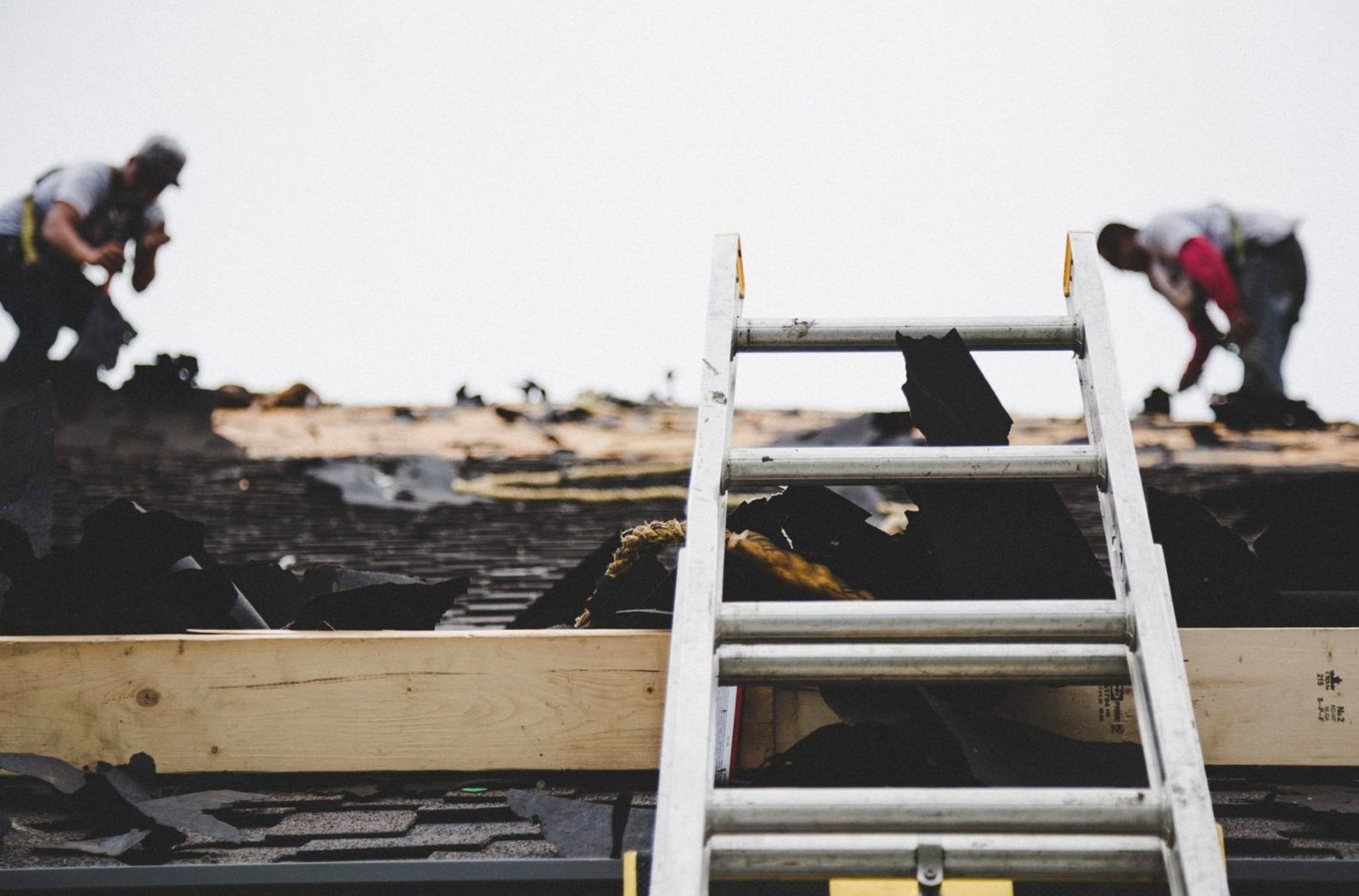 roof ladder