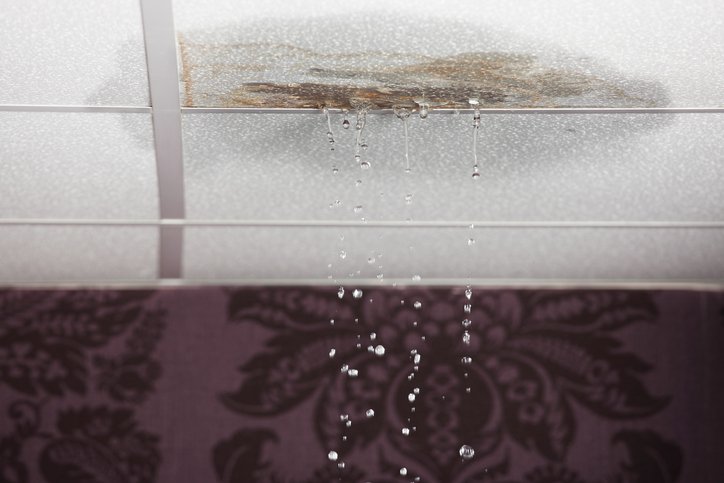 What Should You Do First When You Discover a Roof Leak in Omaha?